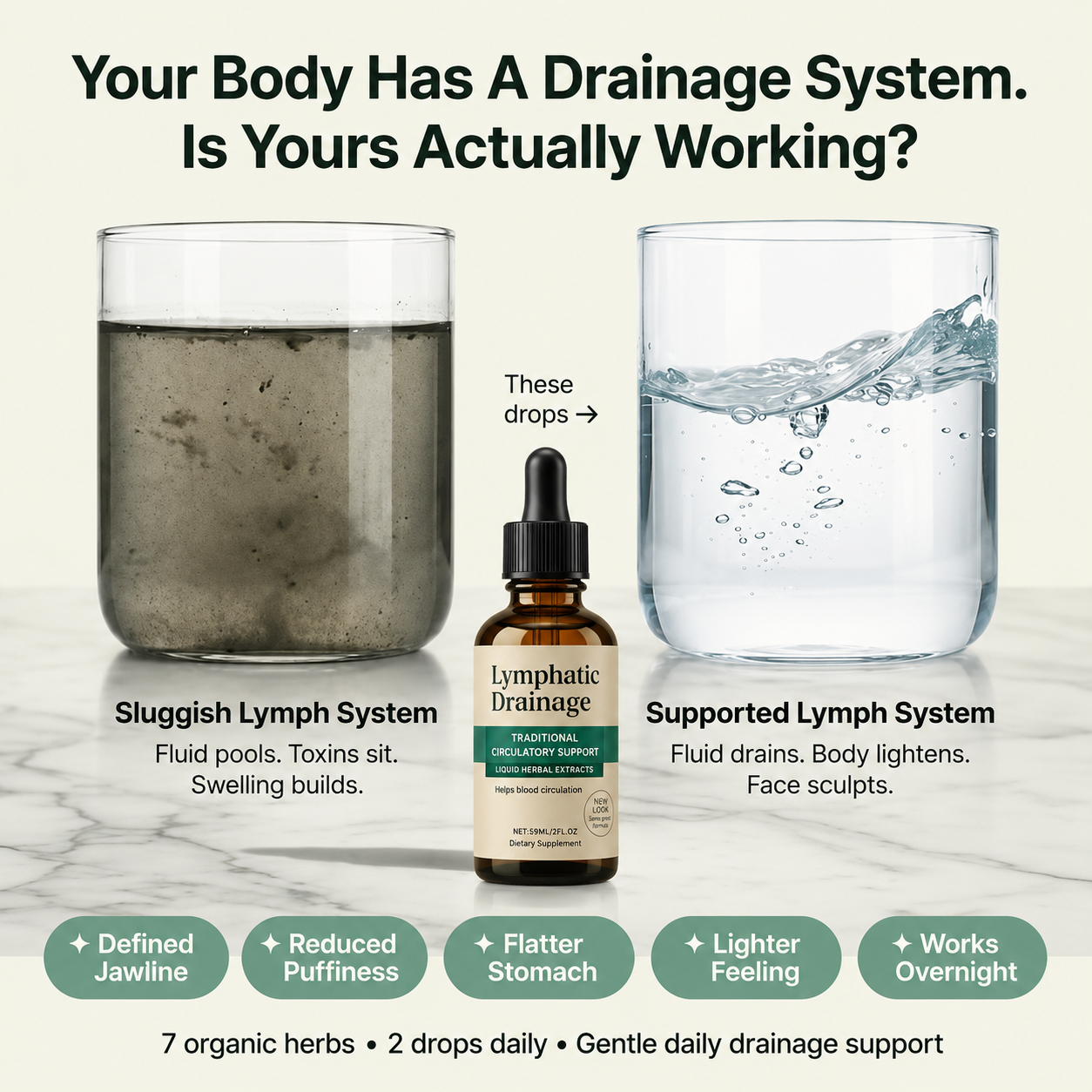 Lymphatic Drainage Drops - Support Your Lymphatic System